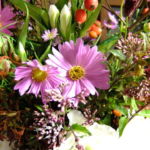 autumnmix_018