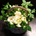 autumn_rose_002