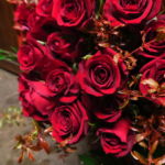 autumn_rose_003