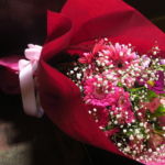 cosmos_002
