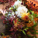 autumn_rose_004