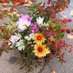 autumnmix_001