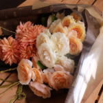 autumn_rose_005