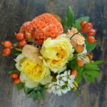 autumn_rose_006