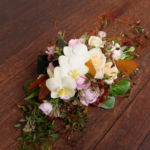 autumn_rose_008